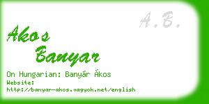 akos banyar business card